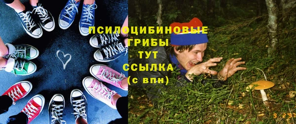 гидра Лиски