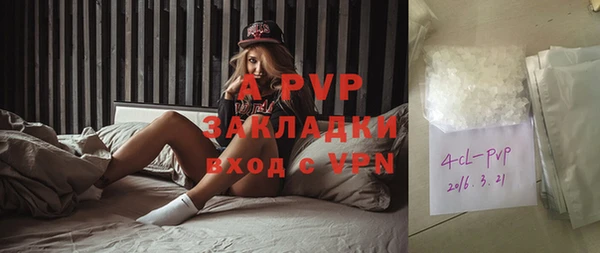 шишки Ладушкин