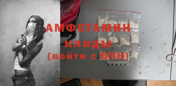 гидра Кулебаки