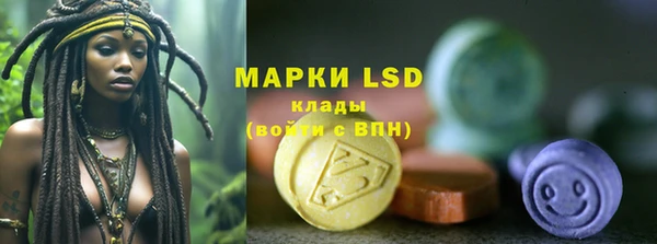 шишки Ладушкин