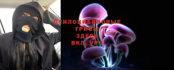 дживик Тихвин