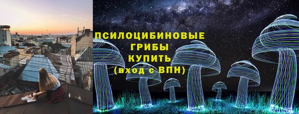 гидра Лиски