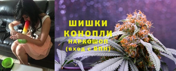2c-b Лагань