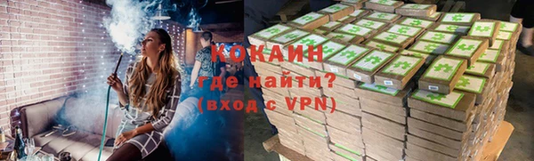 шишки Ладушкин