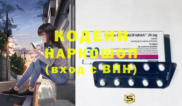 шишки Ладушкин