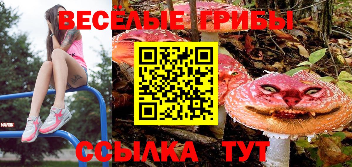 Псилоцибиновые грибы ЛСД Мончегорск