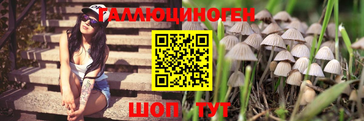 Мончегорск  Псилоцибиновые грибы ЛСД  Галлюциногенные грибы Cubensis  Вход с VPN 