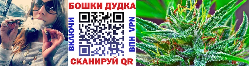 hydra ссылка  купить наркотики сайты  Мончегорск  Бошки марихуана план 