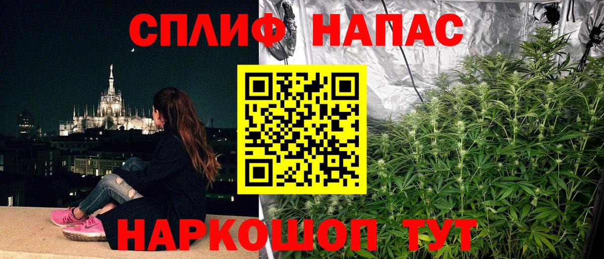 Канабис индика Мончегорск